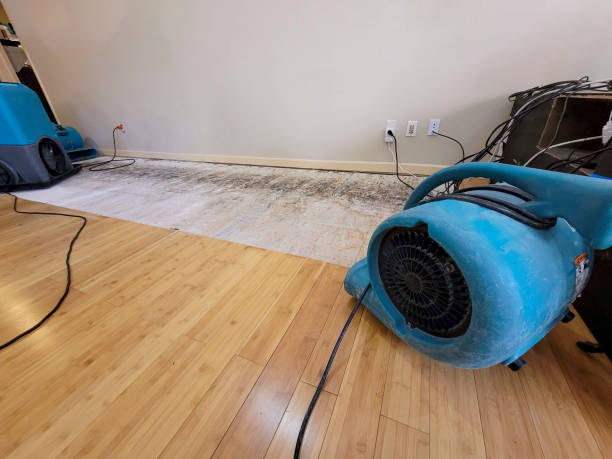 Professional Flood Damage Cleanup technician working in Duquesne, PA